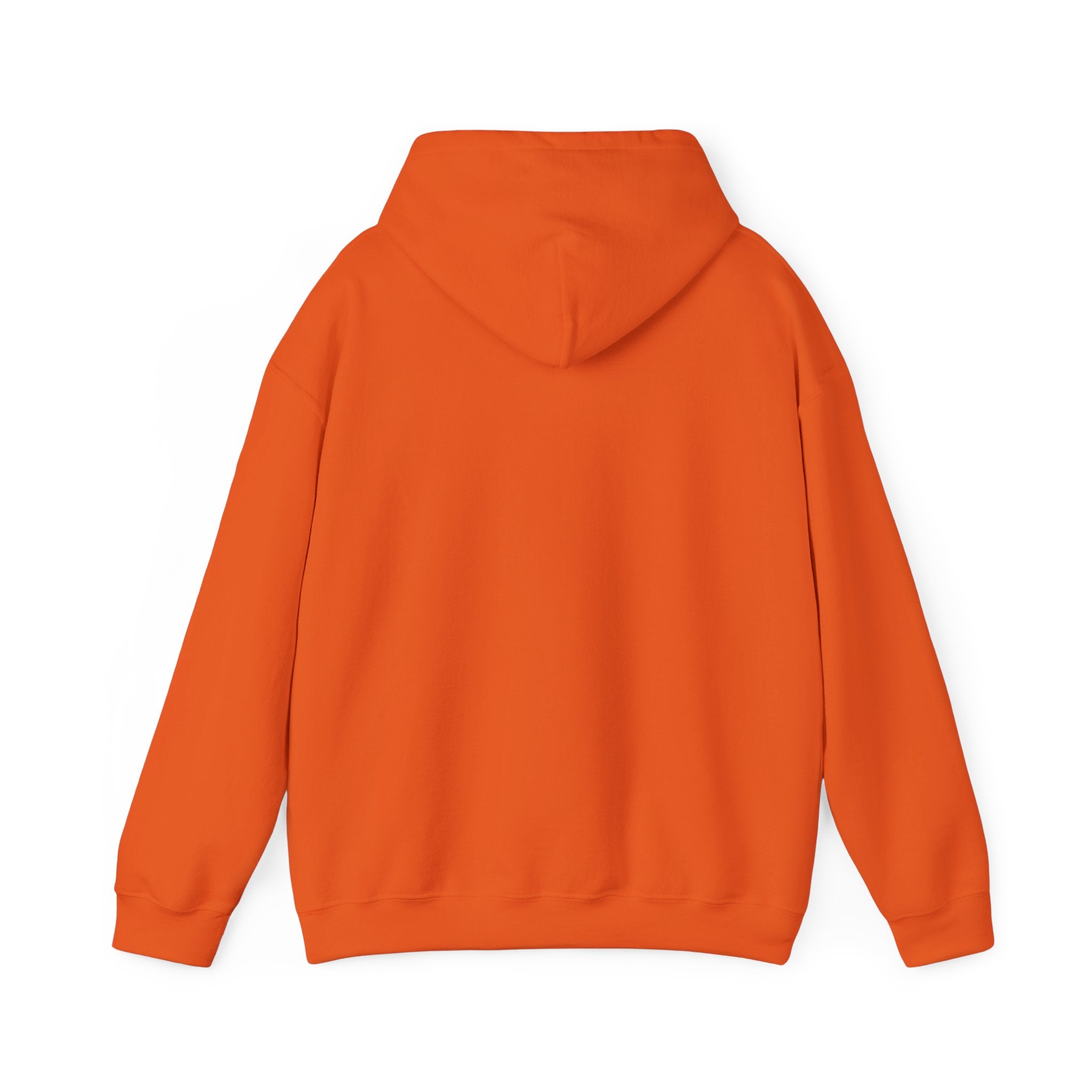 The Gameplan Hoodie